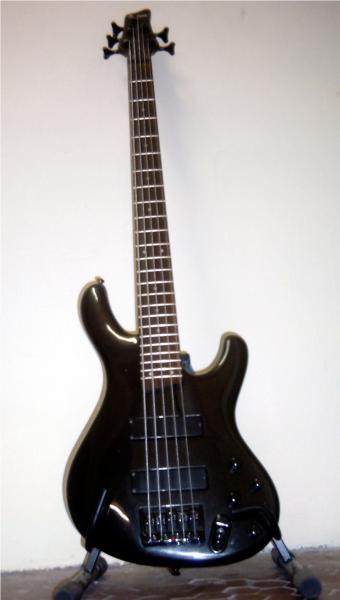 basse Ibanez Ergodyne 5 cordes